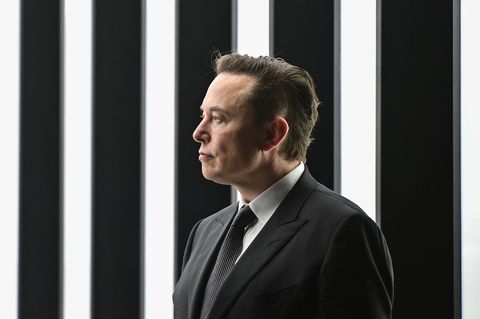 Elon Musk im Profil