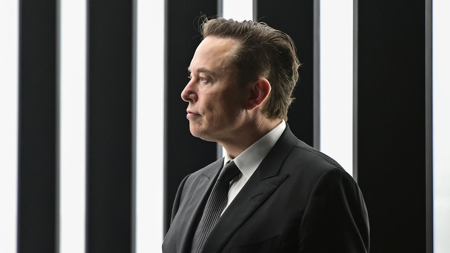 Elon Musk im Profil