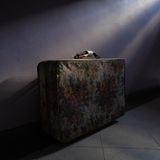 Das Video "La Sangre Es Una Semilla" – zu deutsch: Das Blut ist ein Samen – von Isadora Romero hinterfragt das Verschwinden von Saatgut, erzwungene Migration, Kolonisierung und den daraus resultierenden Verlust des Wissens der Vorfahren. Das Video setzt sich aus Digital- und Filmaufnahmen zusammen und bringt Romero den "World Press Open Format Award" ein.