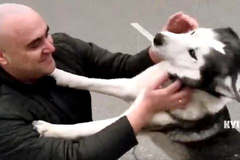 Rührende Szenen aus Butscha: Hund findet sein Herrchen wieder