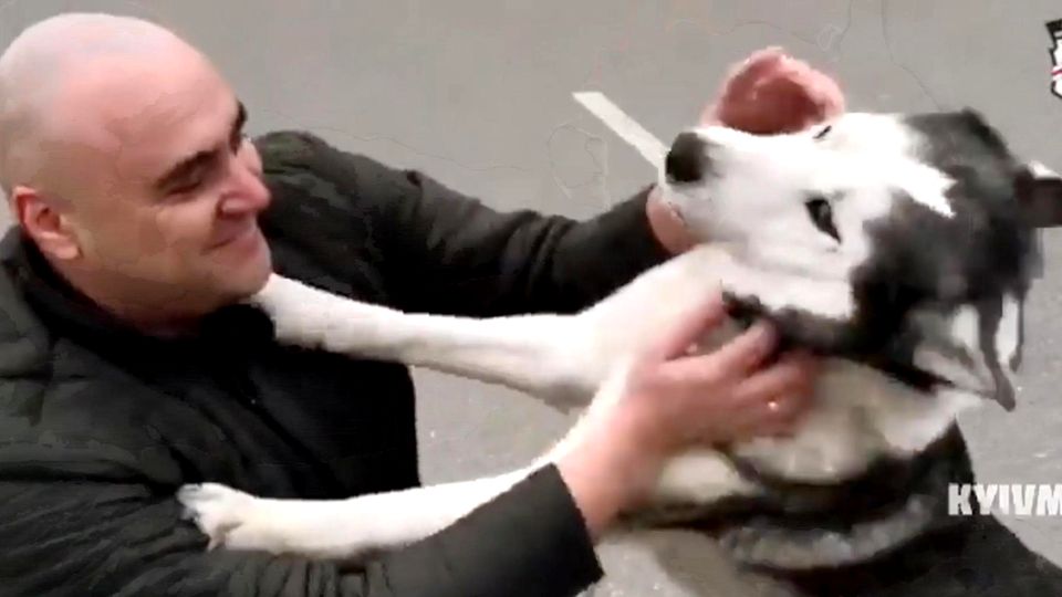 Rührende Szenen aus Butscha: Hund findet sein Herrchen wieder Rührende Szenen aus Butscha: Hund findet sein Herrchen wieder