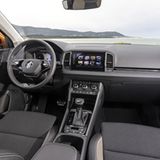 Rational und doch verführerisch