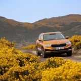 Skoda Karoq 2.0 TDI 4x4