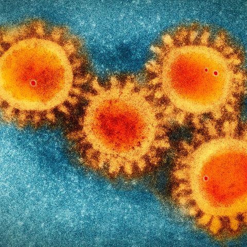 Coronavirus Sars-CoV-2