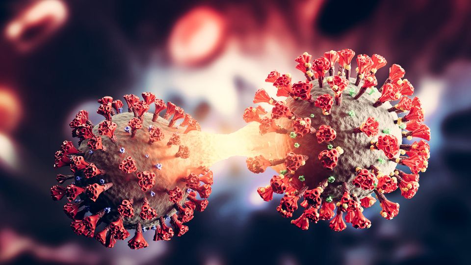 Untervariante STERN.de