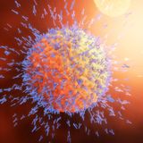 Wie entsteht Heuschnupfen?