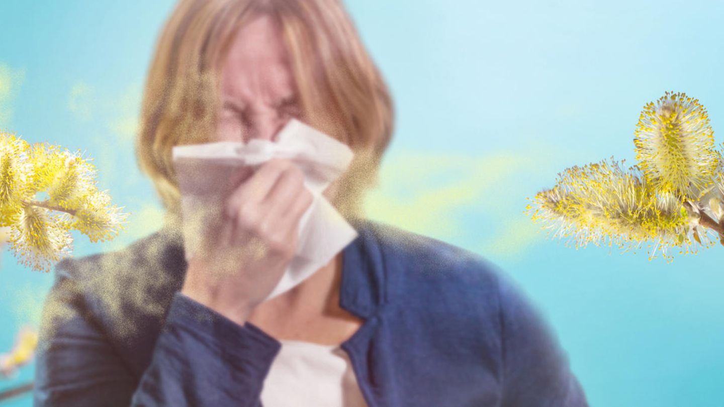 Wie schlimm wird die Pollen-Saison Wie schlimm wird die Pollen-Saison