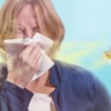 Wie schlimm wird die Pollen-Saison