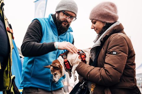 An der Grenze der Ukraine zu Polen wird Flüchtenden mit tierischer Begleitung geholfen