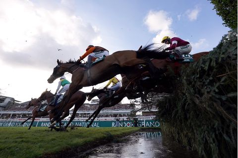 Pferde springen beim Grand National über ein Hindernis