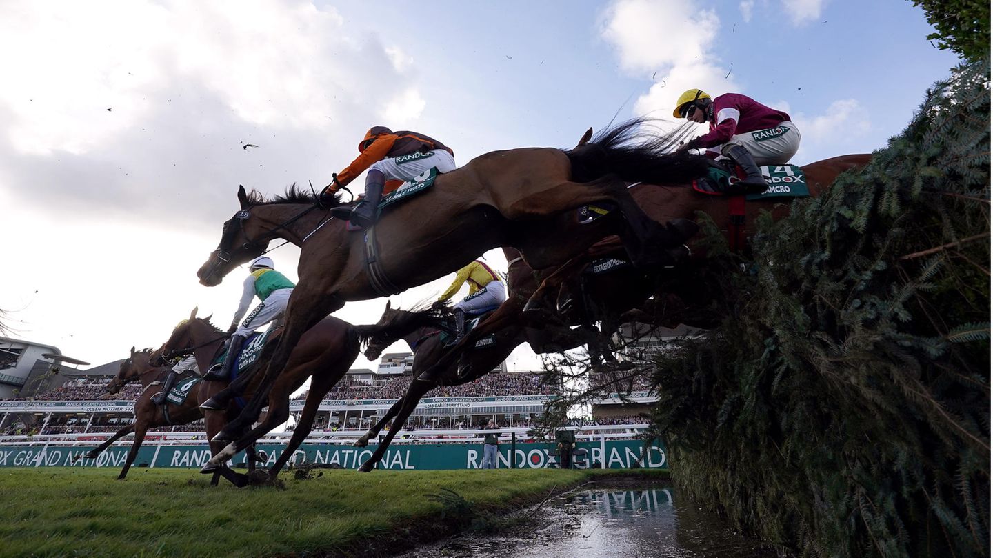 Pferde springen beim Grand National über ein Hindernis