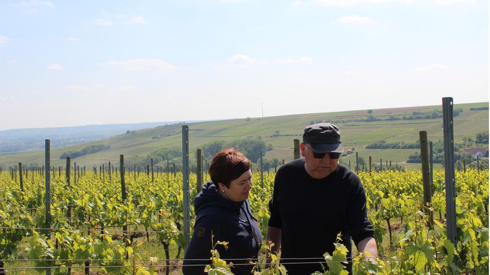 Drink in Peace Erika und Helmut Krauß zwischen Reben