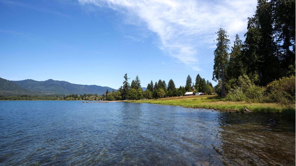 Der Lake Quinault-See im US-Bundesstaat Washinton