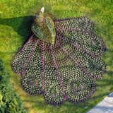 Zwei Personen schauen sich den mit Blumen bepflanzten Pfau auf der Bodensee-Insel Mainau an