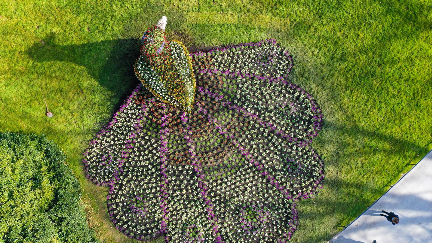 Zwei Personen schauen sich den mit Blumen bepflanzten Pfau auf der Bodensee-Insel Mainau an