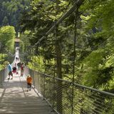 Erlebnisbrücke im Steinwasen-Park