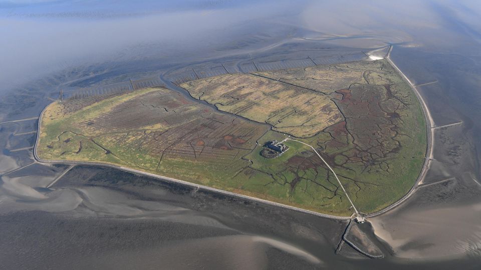 Süderoog Nordsee Watt Wrack Luftbild der Hallig Süderoog