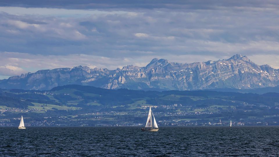 Zwei Segelboote fahren vor Bergpanorama auf dem Bodensee