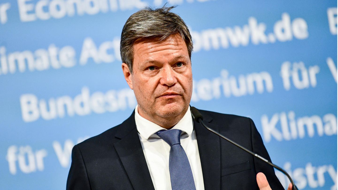 Robert Habeck: Steinmeier’s discharge is also Germany’s discharge
