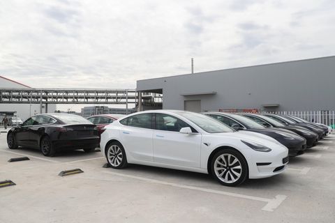 Tesla Model 3-Fahrzeuge stehen auf einem Gelände