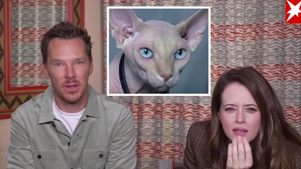 Kinostart "Die wundersame Welt des Louis Wain": Katzen-Quiz: Kennen Sie diese berühmten Pelzknäule? Raten Sie mit Benedict Cumberbatch und Claire Foy Kinostart "Die wundersame Welt des Louis Wain": Katzen-Quiz: Kennen Sie diese berühmten Pelzknäule? Raten Sie mit Benedict Cumberbatch und Claire Foy