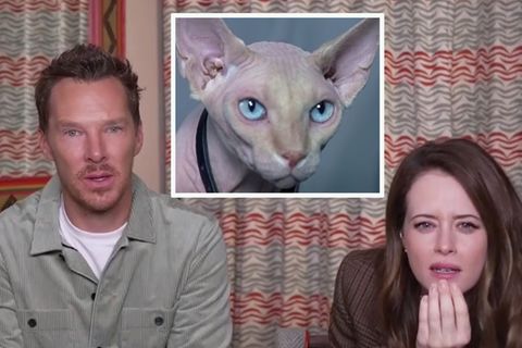 Kinostart "Die wundersame Welt des Louis Wain": Katzen-Quiz: Kennen Sie diese berühmten Pelzknäule? Raten Sie mit Benedict Cumberbatch und Claire Foy