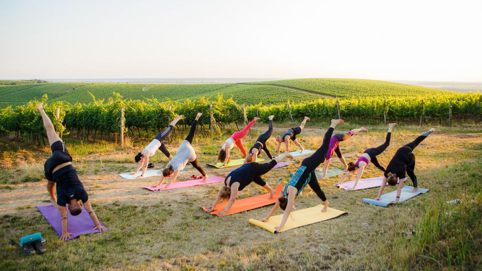 mindfulness yoga A group of people doing yoga