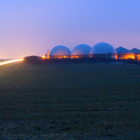 Biogasanlage im Morgenlicht in Sachsen-Anhalt