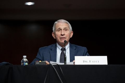 Coronavirus: Der Berater von US-Präsident Biden Anthony Fauci