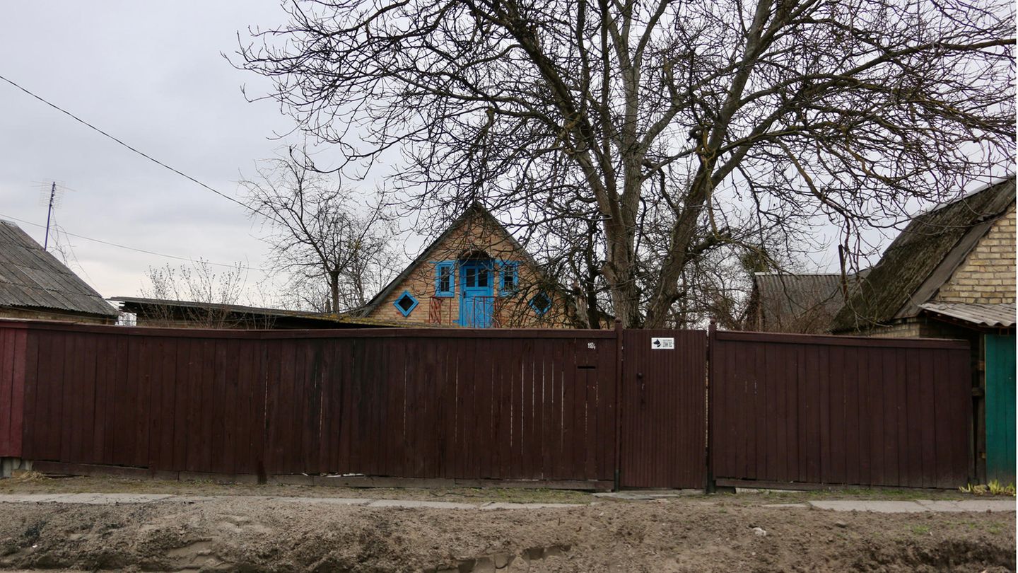 Der Apfelbaum vor Irina und Ludas Haus