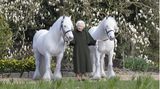 Royal News: Zum Geburtstag der Queen: Neues Porträt zeigt Königin mit ihren Ponys