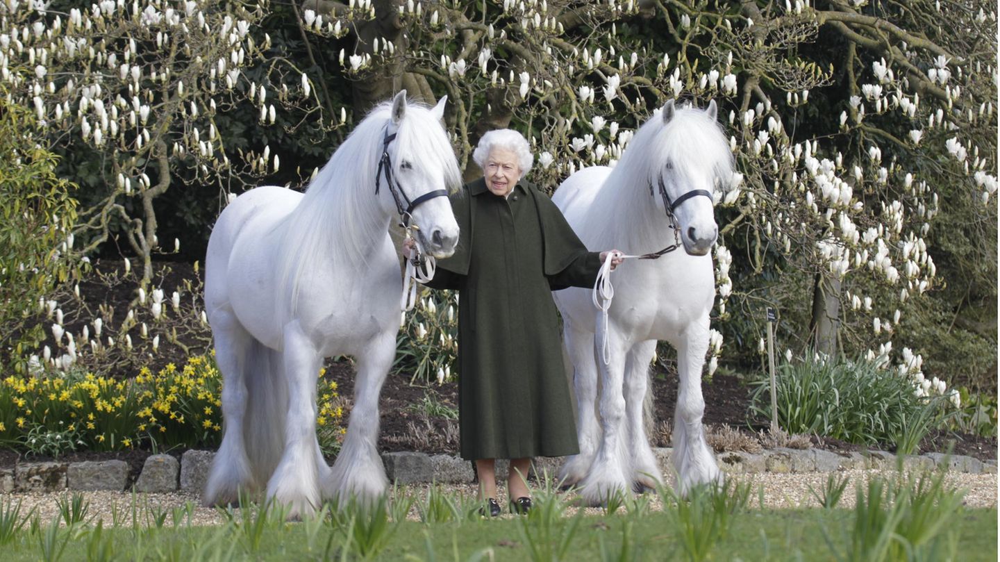 Royal News: For the Queen’s birthday: New portrait shows Queen with her ponies