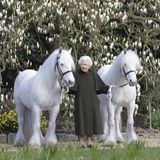 Royal News: Zum Geburtstag der Queen: Neues Porträt zeigt Königin mit ihren Ponys