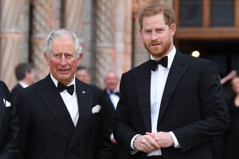 Prinz Charles, Prinz Harry