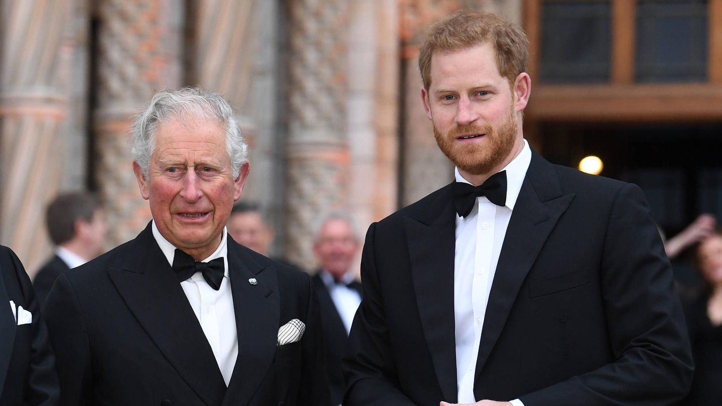 Prinz Charles, Prinz Harry