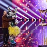 The Masked Singer Finale
