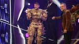 The Masked Singer
