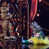 The Masked Singer Finale