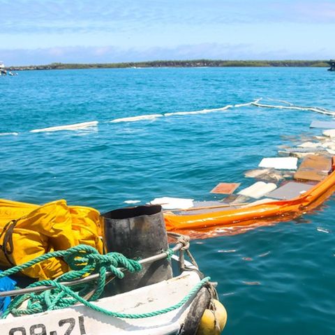 Nach dem Untergang eines Schiffes vor den Galápagos-Inseln breitet sich ein Ölteppich auf dem Meer aus