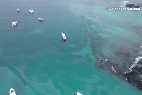 Video: Tausende Liter Diesel bedrohen Galapagos-Inseln