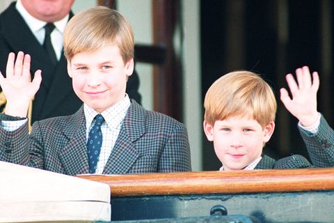 Prinz William und Prinz Harry