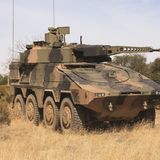 Australien hat sich für den Boxer entschieden.