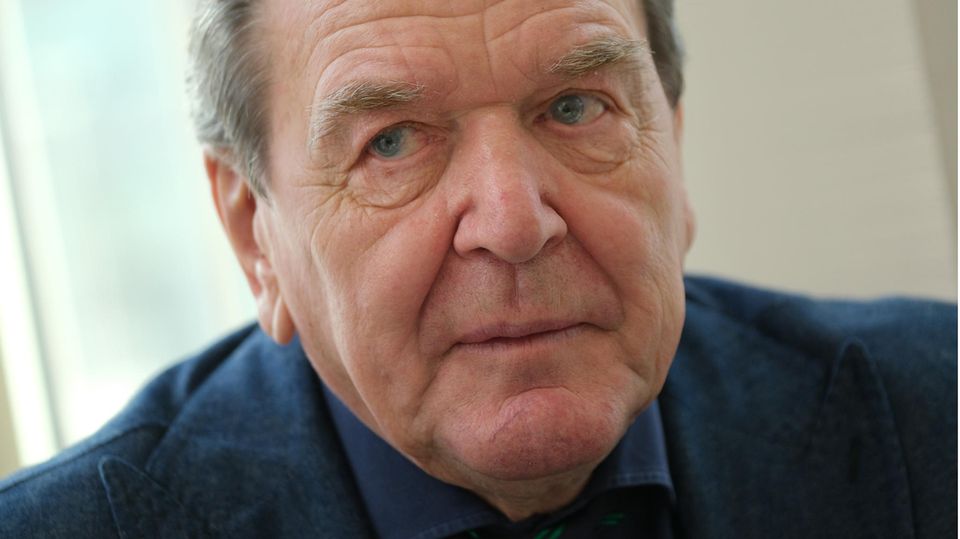 Porträt Gerhard Schröder