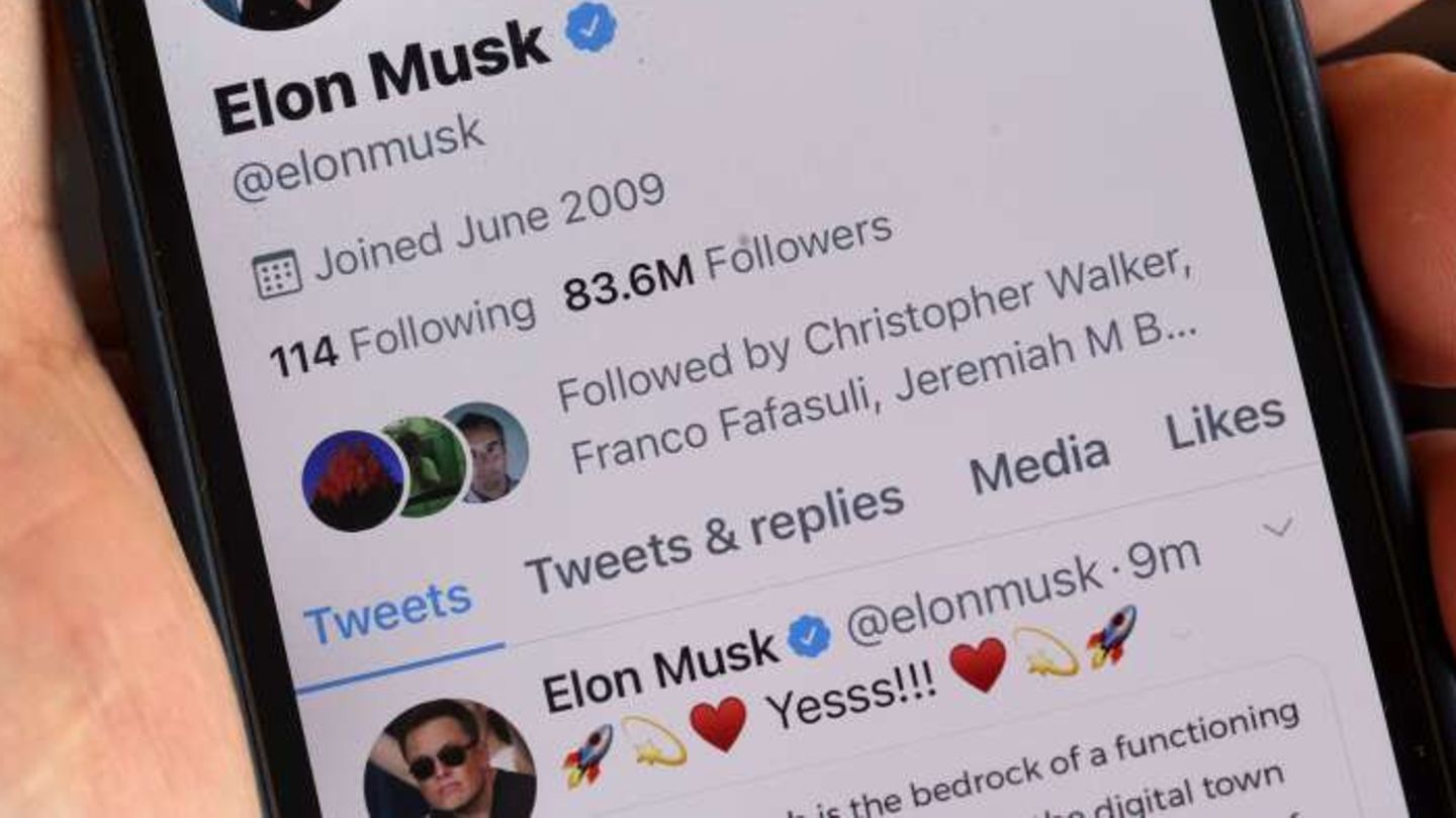 Elon Musks Twitter-Profil