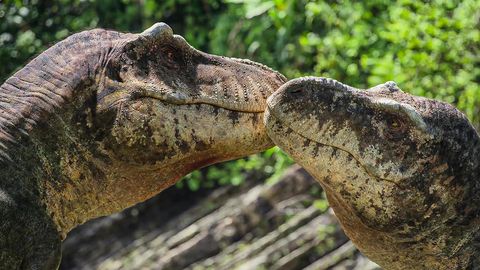 Eine Liste unserer qualitativsten Amazon dinosaurier