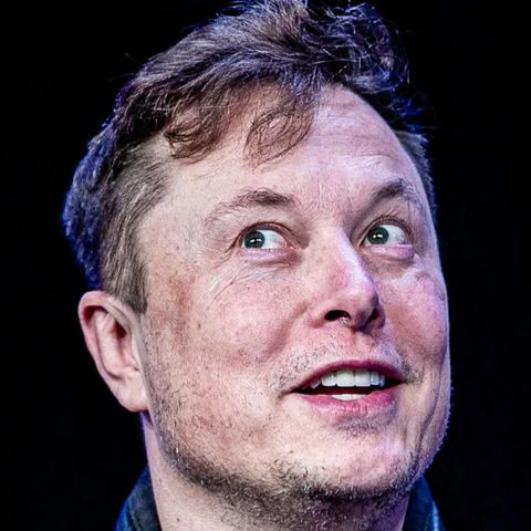 Musk kauft Twitter – so reagieren die Twitter-User auf die Übernahme