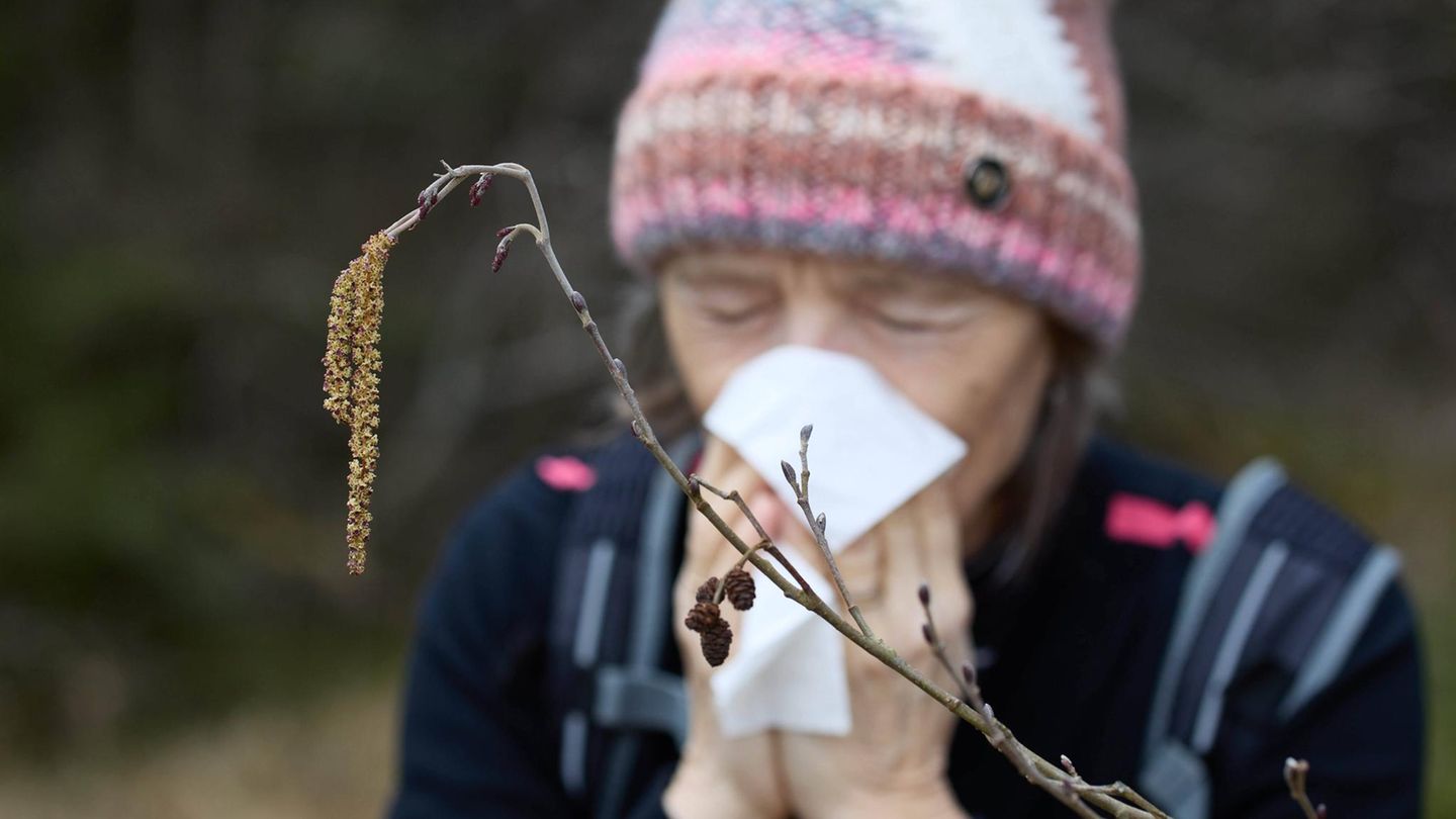 Pollenflug Heuschnupfen Allergie