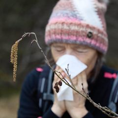 Pollenflug Heuschnupfen Allergie