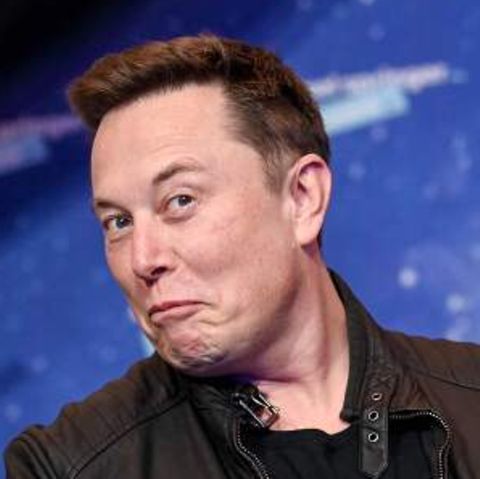 Die einen jubeln, die anderen stöhnen über Elon Musks Twitter-Übernahme