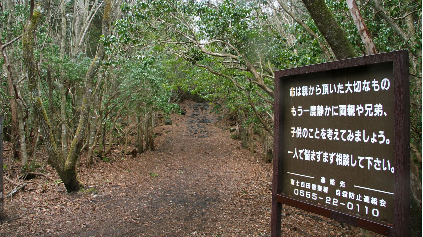 "Dark Places": Der Aokigahara-Wald liegt am Fuße des Vulkans Fuji in Japan. Das asiatische Land hat eine tragisch hohe Suizidrate – und im Dickicht des Waldes nehmen sich jährlich viele Menschen das Leben. Wie viele genau, das wird von den Behörden verschwiegen. An den Eingängen des Waldes stehen Schilder mit der Botschaft: "Das Leben ist ein kostbares Geschenk". Sie haben suizidale Gedanken? Hilfe bietet die Telefonseelsorge. Sie ist anonym, kostenlos und rund um die Uhr unter (0800) 1110111 und (0800) 1110222 erreichbar. Auch eine Beratung über E-Mail ist möglich. Eine Liste mit bundesweiten Hilfsstellen findet sich auf der Seite der Deutschen Gesellschaft für Suizidprävention. Der Aokigahara-Wald liegt am Fuße des Vulkans Fuji in Japan. Das asiatische Land hat eine tragisch hohe Suizidrate – und im Dickicht des Waldes nehmen sich jährlich viele Menschen das Leben. Wie viele genau, das wird von den Behörden verschwiegen. An den Eingängen des Waldes stehen Schilder mit der Botschaft: "Das Leben ist ein kostbares Geschenk". Sie haben suizidale Gedanken? Hilfe bietet die Telefonseelsorge. Sie ist anonym, kostenlos und rund um die Uhr unter (0800) 1110111 und (0800) 1110222 erreichbar. Auch eine Beratung über E-Mail ist möglich. Eine Liste mit bundesweiten Hilfsstellen findet sich auf der Seite der Deutschen Gesellschaft für Suizidprävention.